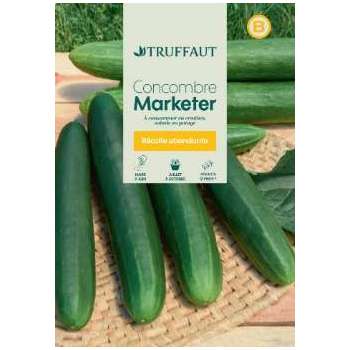 Graines de concombre Marketer en sachet