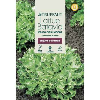 Graines de laitue Batavia Reine des glaces en sach