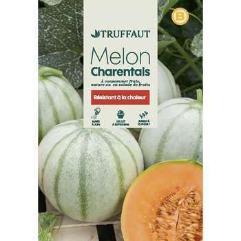 Graines de melon Charentais en sachet