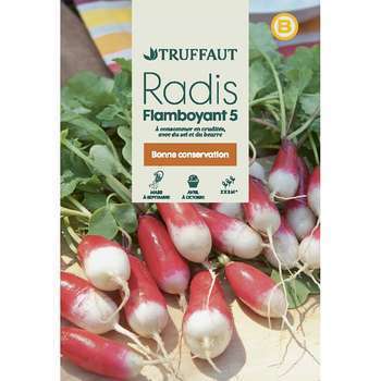 Graines de radis flamboyant 4 Hybride F1 en sachet