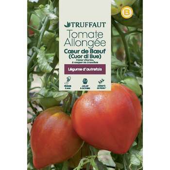 Graines de tomate cur de buf corazon en sachet