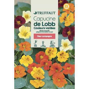 Capucine Grimpante De Lobb Variée : en Sachet