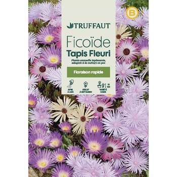 Ficoide tapis Fleuri : En Sachet