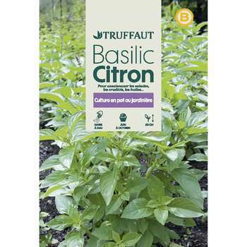 Graines de basilic citron en sachet