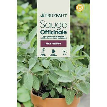 Graines de sauge officinale en sachet