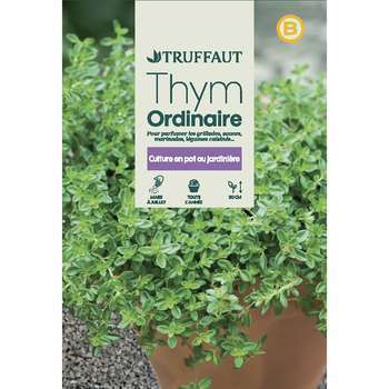 Graines de thym commun en sachet