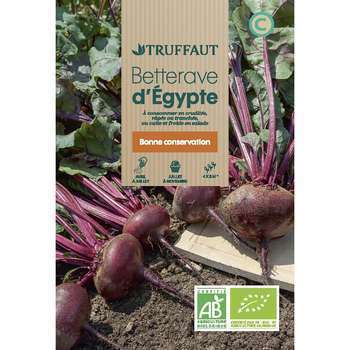 Graines de betterave noire dEgypte Bio en sachet