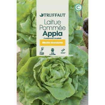 Graines de laitue Appia en sachet