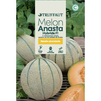 Graines de melon anasta Hybride F1 en sachet