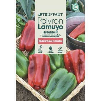 Graines de poivron (piment doux) Lamuyo hybride F1