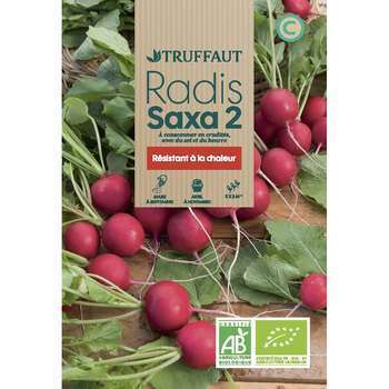 Graines de radis Saxa 2 Bio en sachet