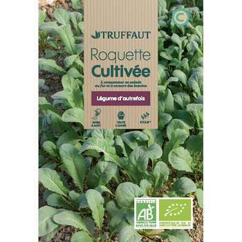 Graines de roquette cultivée Bio en sachet