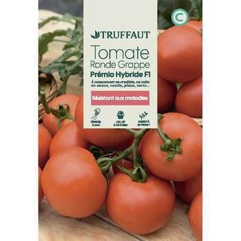 Graines de tomate premio hybride F1 en sachet