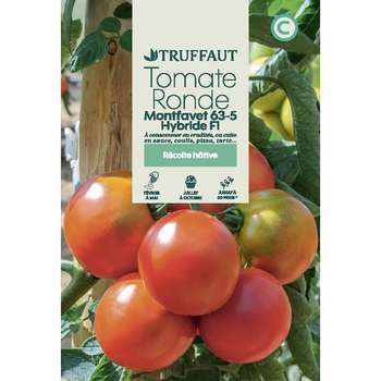 Graines de tomate Montfavet 63/5 hybride F1 en sac