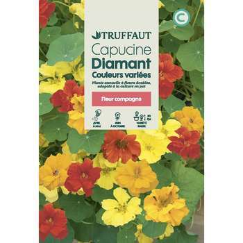 Capucine naine à fleur double Diamant couleur vari