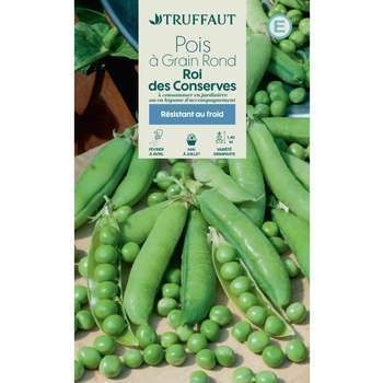Graines de pois à rames à grain rond'roi des conse