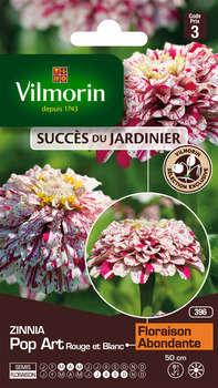 Zinnia Pop Art Rouge et Blanc 2 g