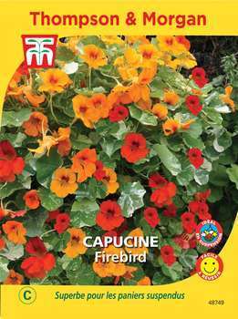 Capucine Firebird