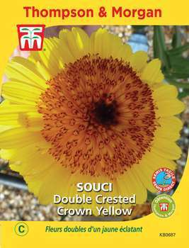 Graines de Souci Crown Yellow