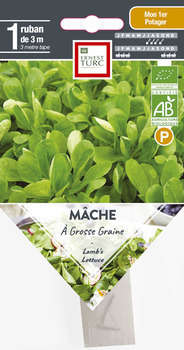 Graines de mâche à grosse graines Bio en ruban pré