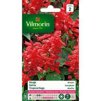 Sauge Rouge Brasier 0,8 g