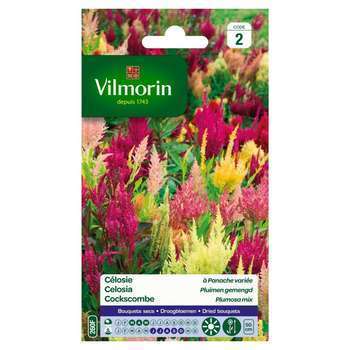 Célosie à Panache Variée 0,4 g