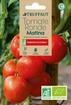 Graines de Tomate Matina BIO en sachet 0,2 g