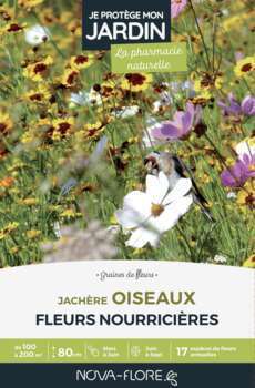 Jachere Oiseaux