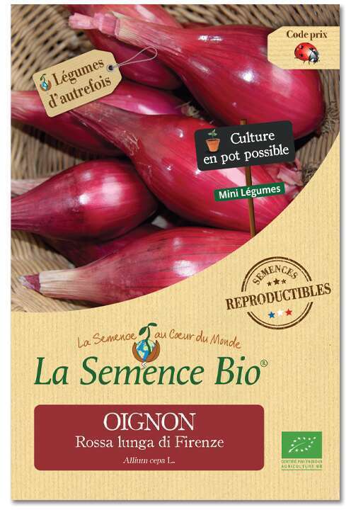 Graines potagères Oignon Rossa di Firenze 0,75g