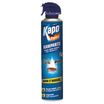 Aérosol tous insectes rampants 400ML