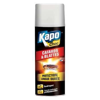 Aérosol foudroyant cafards et blattes 400ML