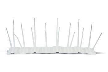 Picots pigeons et autres oiseaux 1m