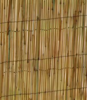 Paillon pelé - 1x5m