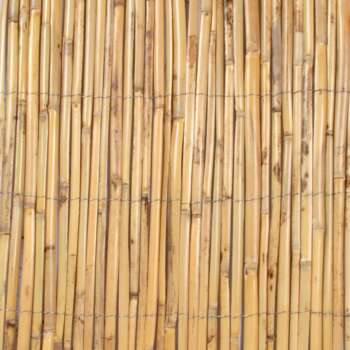 Canisse roseau fendu - 2x5m