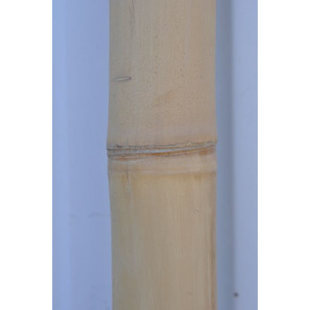 Tronçon de bambou naturel sec beige - D. 8xL200 cm