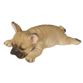 Bébé bouledogue français : beige, L.21cm