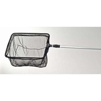 Epuisette professionnelle pour bassin : L190 cm ma