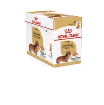 Sachet Royal Canin spécial teckel en mousse - 12x8