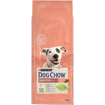 Croquettes Dog chow Sensitive Chien : saumon