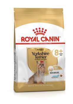 Yorkshire Terrier adulte 8+ans 1,5kg