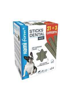 Sticks Dental chien mini x24