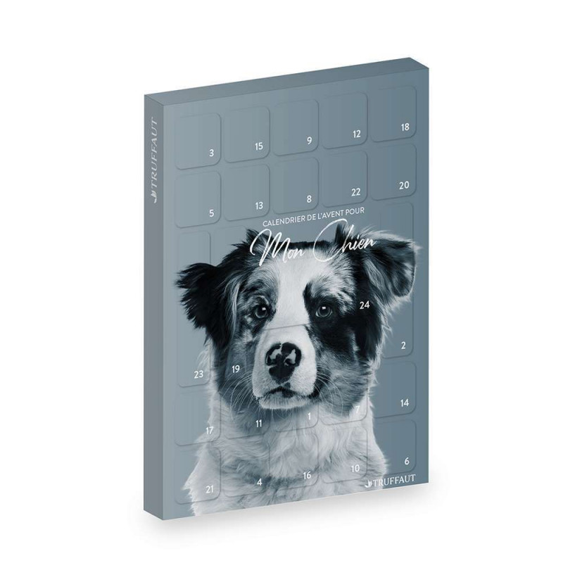 Calendrier de l'avent pour chien
