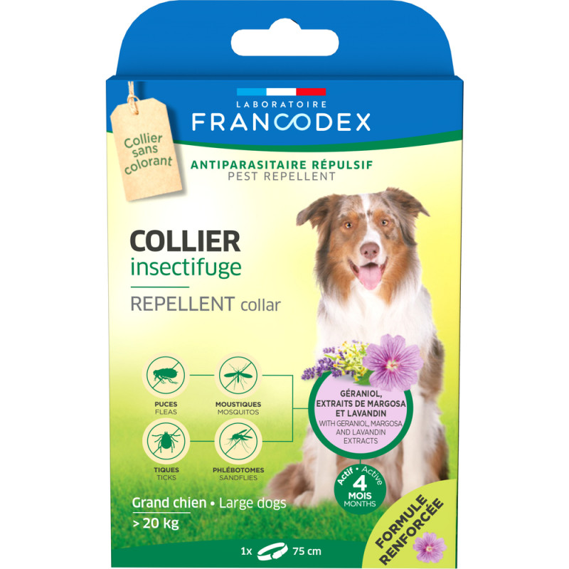 COLLIER INSECTIFUGE GD CHIEN