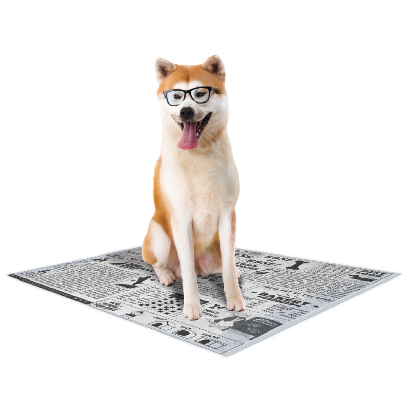 Tapis hygiéniques - Nappy newspaper pour chien - 5