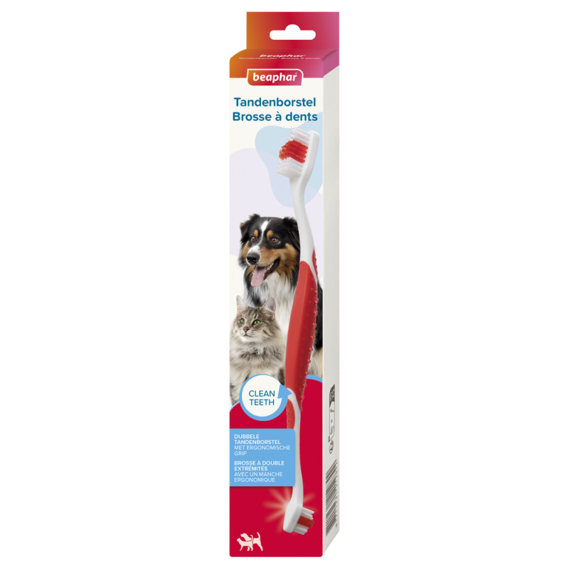Brosse à dents à double extrémités pour chien et c