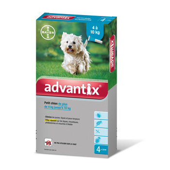 Pipette antiparasitaire petit chien: x4