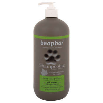 Shampooing chien doux : tous poils