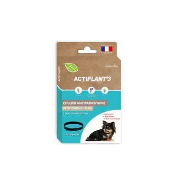 Collier antiparasitaire pour petit chien