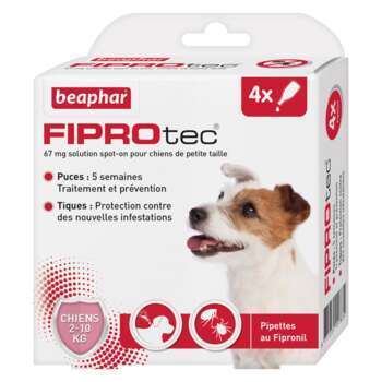 Fiprotec pour petits chiens