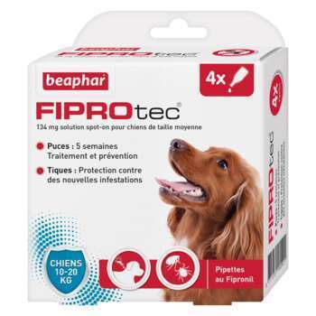 Fiprotec pour chiens moyens